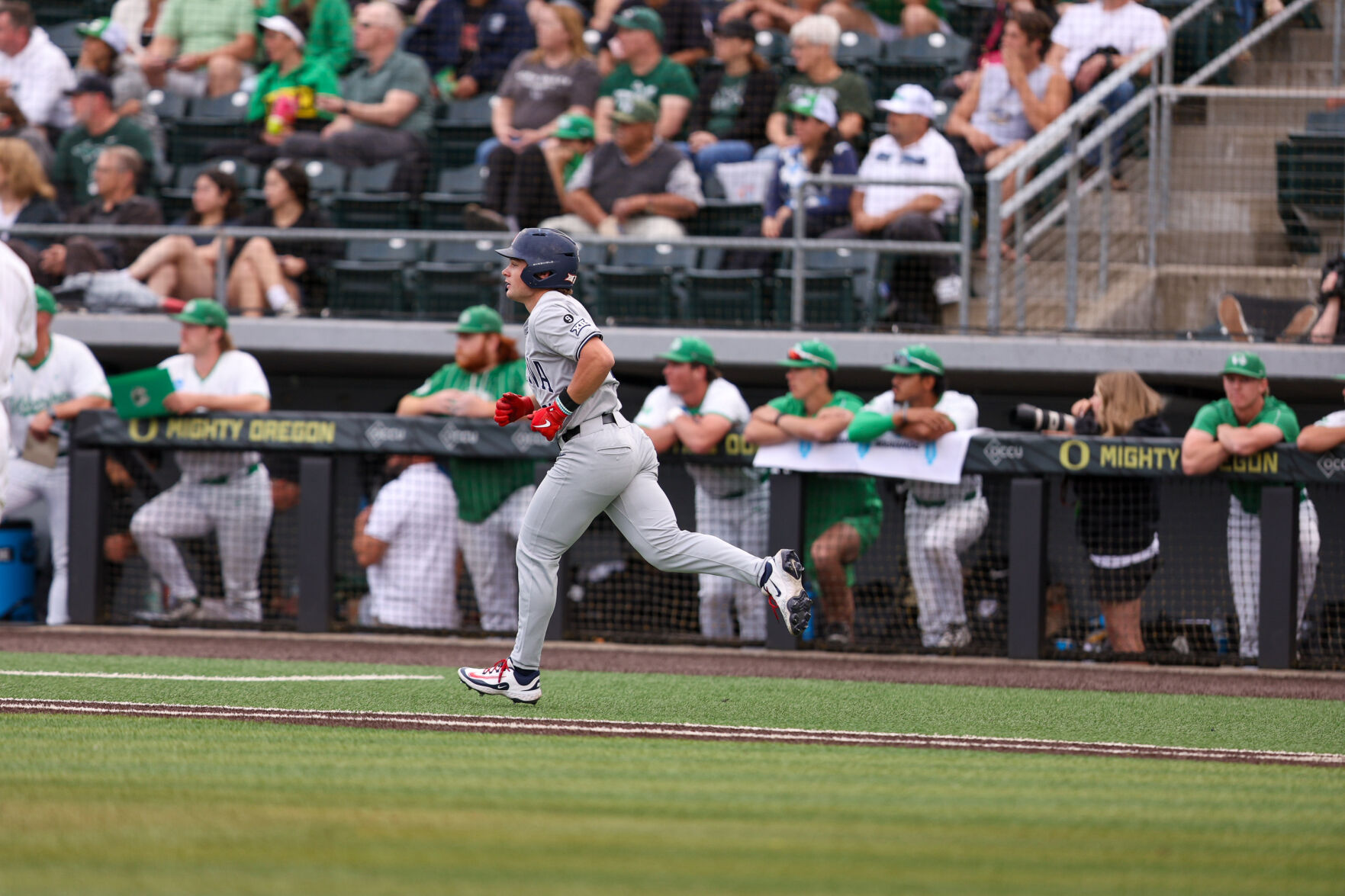 Arizona baseball | 2025 NCAA Tournament